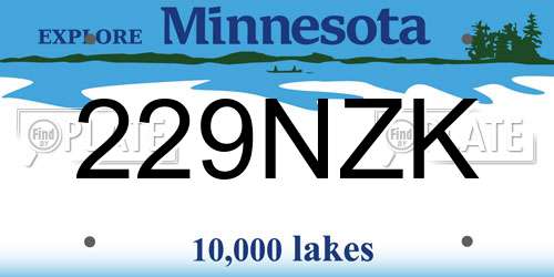229NZK Minnesota License Plate