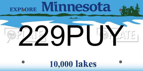 229PUY Minnesota License Plate