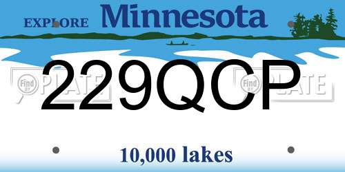 229QCP Minnesota License Plate