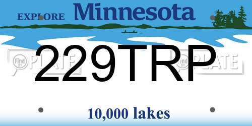 229TRP Minnesota License Plate