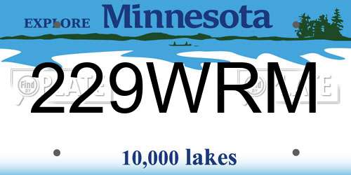229WRM Minnesota License Plate