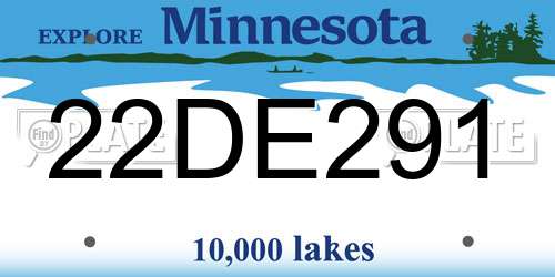 22DE291 Minnesota License Plate