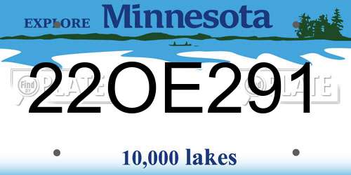 22OE291 Minnesota License Plate