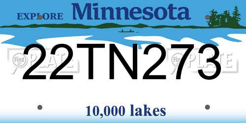 22TN273 Minnesota License Plate