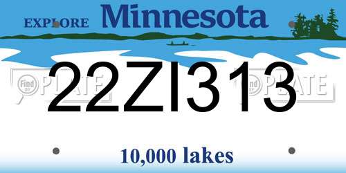 22ZI313 Minnesota License Plate