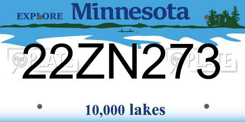 22ZN273 Minnesota License Plate