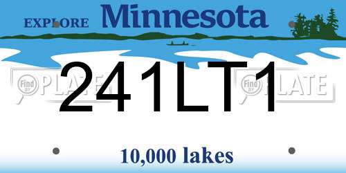 241LT1 Minnesota License Plate