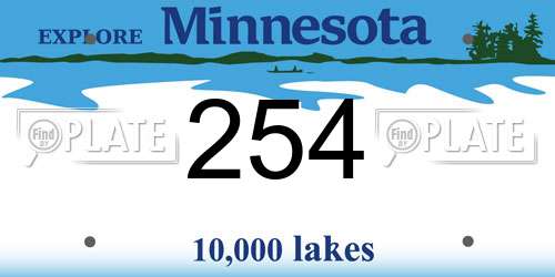 254 Minnesota License Plate