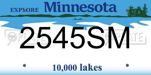 2545SM Minnesota License Plate