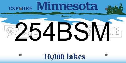 254BSM Minnesota License Plate