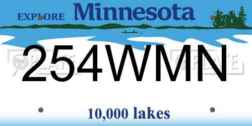 254WMN Minnesota License Plate