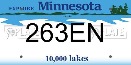 263EN Minnesota License Plate