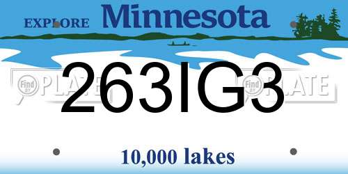 263IG3 Minnesota License Plate