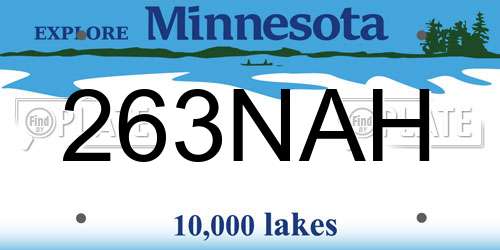 263NAH Minnesota License Plate