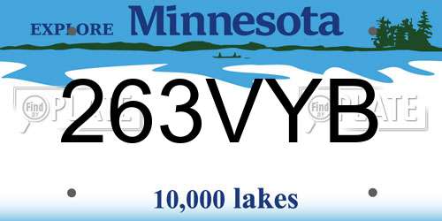 263VYB Minnesota License Plate