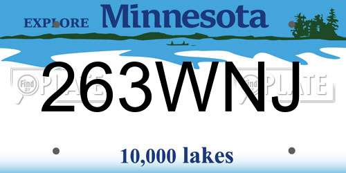 263WNJ Minnesota License Plate