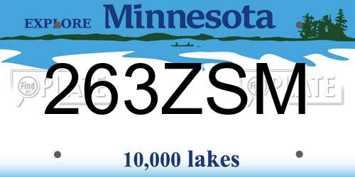 263ZSM Minnesota License Plate