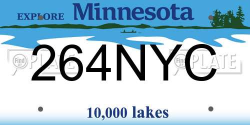 264NYC Minnesota License Plate