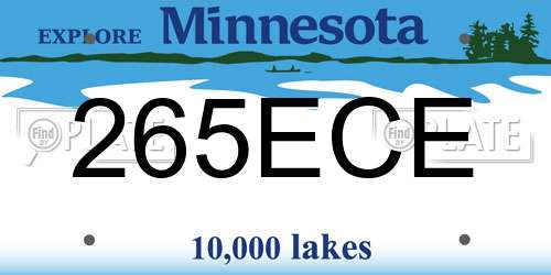 265ECE Minnesota License Plate
