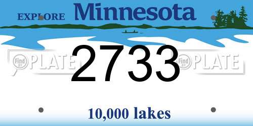 2733 Minnesota License Plate