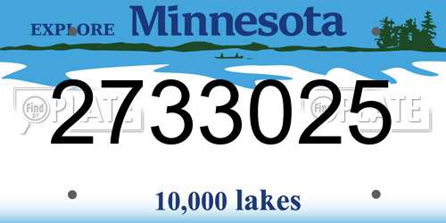 2733025 Minnesota License Plate