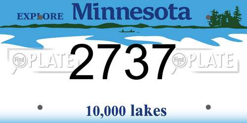 2737 Minnesota License Plate