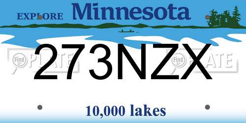 273NZX Minnesota License Plate