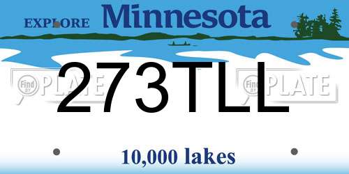273TLL Minnesota License Plate