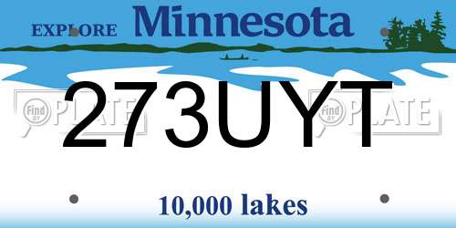 273UYT Minnesota License Plate