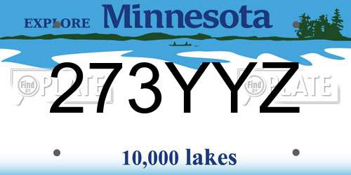273YYZ Minnesota License Plate