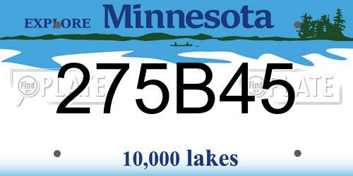275B45 Minnesota License Plate