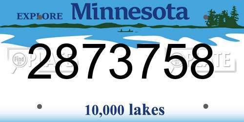 2873758 Minnesota License Plate
