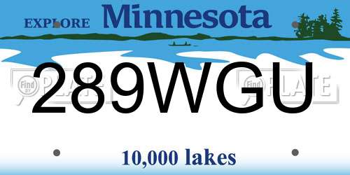 289WGU Minnesota License Plate