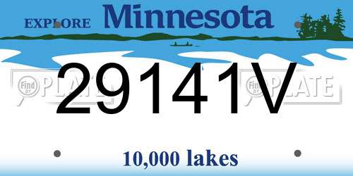 29141V Minnesota License Plate