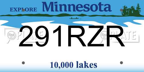 291RZR Minnesota License Plate