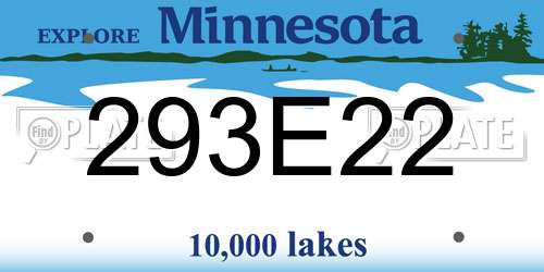 293E22 Minnesota License Plate