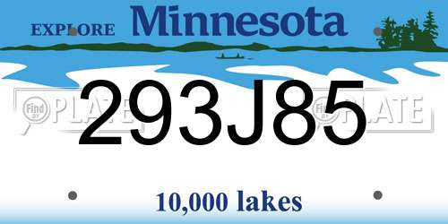 293J85 Minnesota License Plate