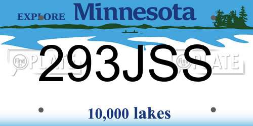 293JSS Minnesota License Plate