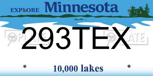 293TEX Minnesota License Plate
