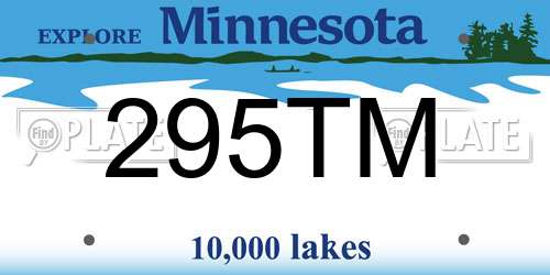 295TM Minnesota License Plate