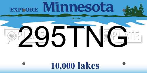 295TNG Minnesota License Plate