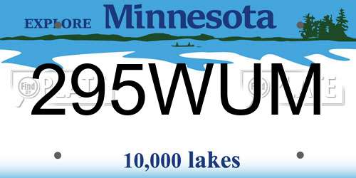 295WUM Minnesota License Plate
