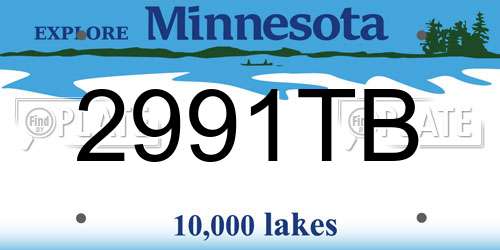 2991TB Minnesota License Plate