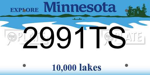 2991TS Minnesota License Plate
