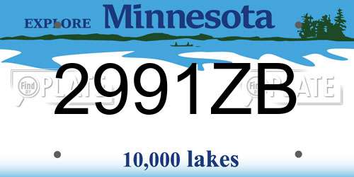 2991ZB Minnesota License Plate
