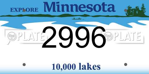 2996 Minnesota License Plate