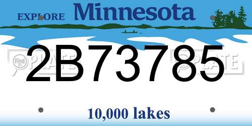 2B73785 Minnesota License Plate