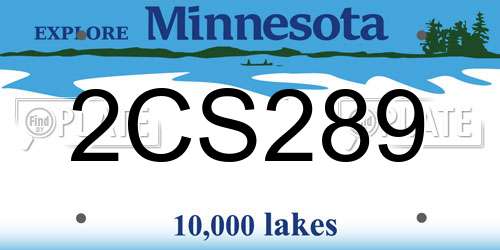 2CS289 Minnesota License Plate