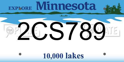 2CS789 Minnesota License Plate