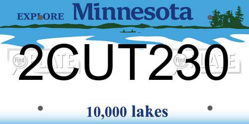 2CUT230 Minnesota License Plate